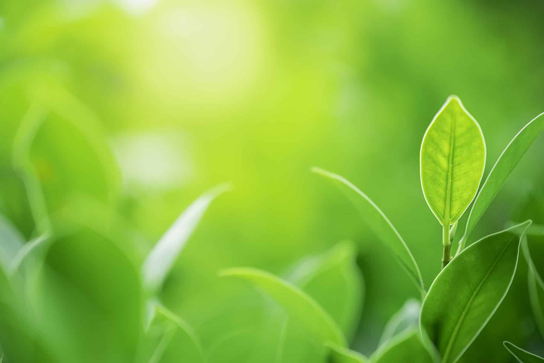 Faca Luxe Faca Packaging Luxury Cosmetic Packaging Manufacturers